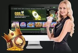 Live Roulette Game